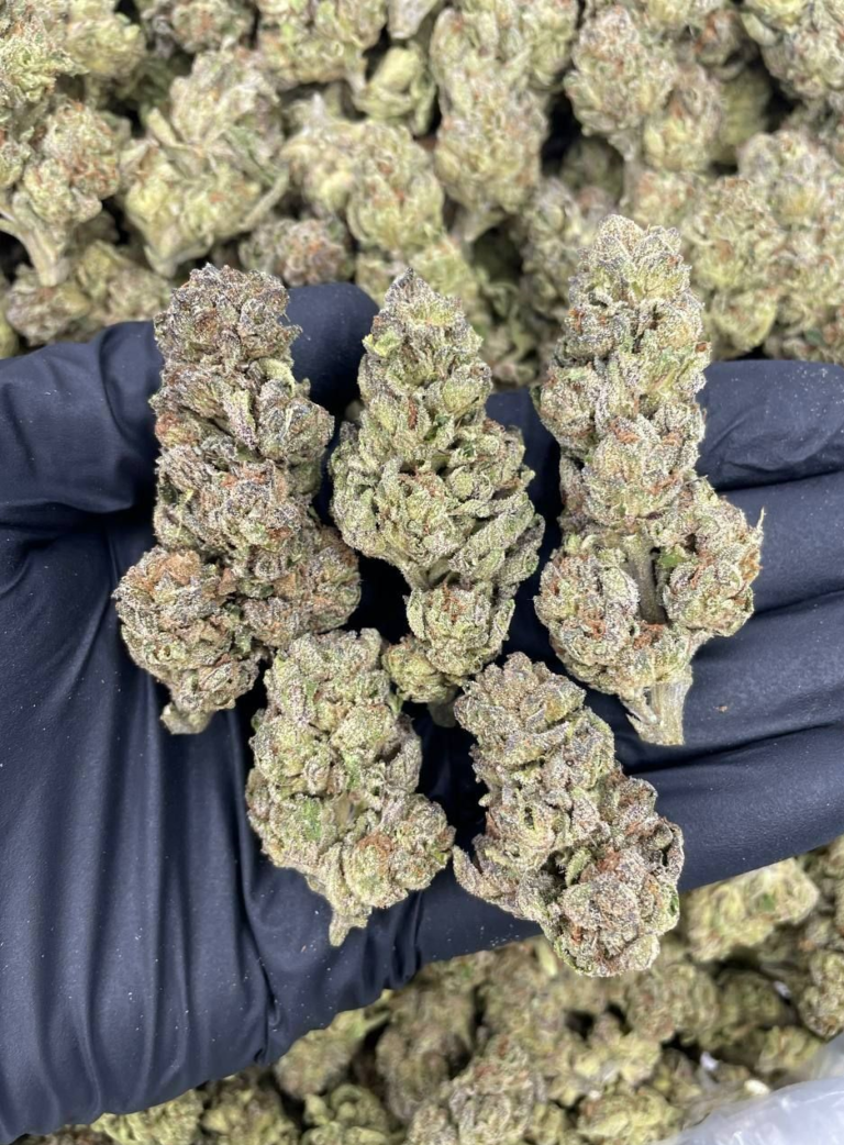 Buy London Jelly Strain UK: Unlock the Sweet, Potent, and Relaxing Experience You Deserve 🍬🌱